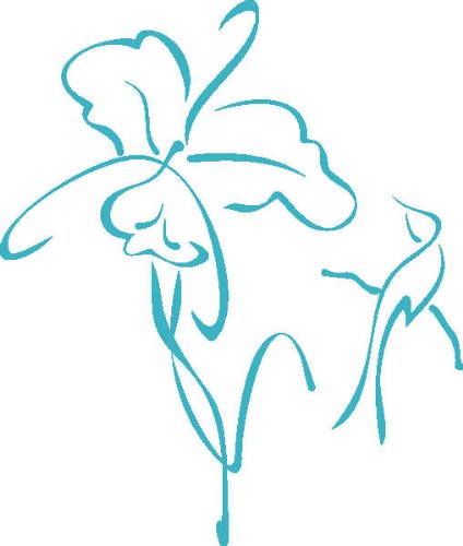 WANDTATTOO d358 Kolibris und Orchideen 40x33 cm - türkis von PEMA