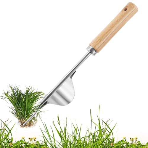 1 Stk Unkrautstecher Gartengeräte Stecher Edelstahl Wurzeljäter Unkraut Jäter mit Stiel Wurzeljäter Klein Handjäter Manueller Weeder zum Graben, Jäten, Lösen Unkrautjäter für Garten, Gärtnerinnen 1 Stk Unkrautstecher Gartengeräte Stecher Edelstahl Wurzeljäter Unkraut Jäter mit Stiel Wurzeljäter Klein Handjäter Manueller Weeder zum Graben, Jäten, Lösen Unkrautjäter für Garten, Gärtnerinnen von PENCHUAN