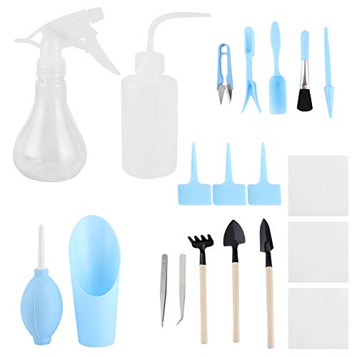 Sukkulente Pflanzen Werkzeugtransplantation Gärtneren Easy -Trageinsatz -Set für Bonsai Innenräume Sukkulente Pflanzen Werkzeugtransplantation Gärtneren Easy -Trageinsatz -Set für Bonsai Innenräume von PENGQIANJU