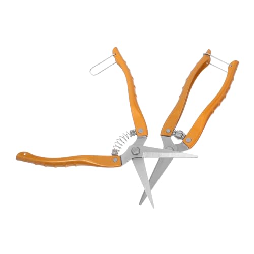 PENIKOKO 2 Stück Gartenschere Teiliges Rostfreie Robuste Gartenwerkzeuge mit Ergonomischem Rutschfestem Griff für Präzises Beschneiden von Obstbäumen und Blumen Langlebige Scharfe PENIKOKO 2 Stück Gartenschere Teiliges Rostfreie Robuste Gartenwerkzeuge mit Ergonomischem Rutschfestem Griff für Präzises Beschneiden von Obstbäumen und Blumen Langlebige Scharfe von PENIKOKO