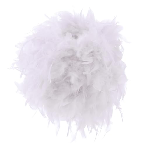 PENIKOKO Delikater Feder lampenschirm Weiß Øcm Vielseitige Lampenschirm abdeckung für Steh Tisch Deckenleuchten Langlebiges Material Elegantes Design für Wohnzimmer und Schlafzimmer PENIKOKO Delikater Feder lampenschirm Weiß Øcm Vielseitige Lampenschirm abdeckung für Steh Tisch Deckenleuchten Langlebiges Material Elegantes Design für Wohnzimmer und Schlafzimmer von PENIKOKO