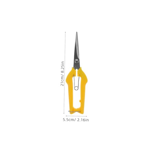 PENIKOKO Edelstahl Gartenschere mit Rutschfestem Griff Scharfe Obst Zweigschere zum Präzisen Schneiden und Beschneiden Ergonomisch Leicht Langlebig und Handschonend für Gartenpflege PENIKOKO Edelstahl Gartenschere mit Rutschfestem Griff Scharfe Obst Zweigschere zum Präzisen Schneiden und Beschneiden Ergonomisch Leicht Langlebig und Handschonend für Gartenpflege von PENIKOKO