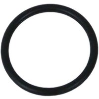 O-ring 1 05 Für Fleck 5600 Ventil von PENTAIR