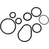 Pentair - O-ring-kit Für Bi-ventil Fleck 4600/5600 von PENTAIR