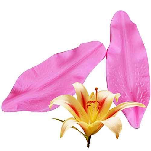 DIY Lily Petal Silikon Formen und Cutter Set, Fondant Kuchen Formen Zur Ausstechformen, Ausstecher Blume Blütenblatt Tools DIY Lily Petal Silikon Formen und Cutter Set, Fondant Kuchen Formen Zur Ausstechformen, Ausstecher Blume Blütenblatt Tools von PENVEAT