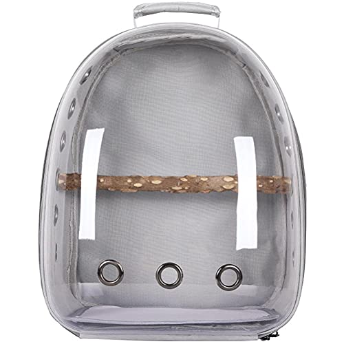 PEPENE Papageien-Transporttasche für Haustiere, Vogel-Reisetasche, Rucksack, transparent, atmungsaktiv, 360° Sightseeing, transparenter Rucksack von PEPENE