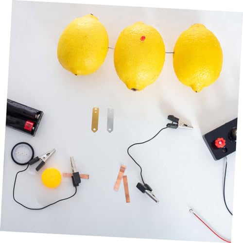 PEPLAYTAL 10 Stück Teiliges Kupfer Metallelektroden Fruchtbatterie Experiment Robuste Metallstreifen Einfach zu Verwenden Lernmaterial für Wissenschaft und Elektrizität für Schüler PEPLAYTAL 10 Stück Teiliges Kupfer Metallelektroden Fruchtbatterie Experiment Robuste Metallstreifen Einfach zu Verwenden Lernmaterial für Wissenschaft und Elektrizität für Schüler von PEPLAYTAL
