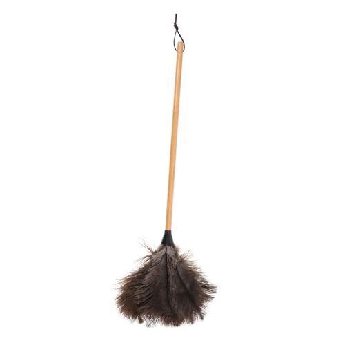 PEPLAYTAL 1Stück Straußenfeder Duster mit Buchenholzgriff Weicher Handstaubwedel für Mühelose von Möbeln Langlebig und Waschbar für Zuhause und Büro PEPLAYTAL 1Stück Straußenfeder Duster mit Buchenholzgriff Weicher Handstaubwedel für Mühelose von Möbeln Langlebig und Waschbar für Zuhause und Büro von PEPLAYTAL