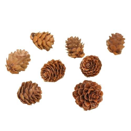 PEPLAYTAL 210 Stück Mini Natur Kiefernzapfen Getrocknete Kiefernzapfen für Weihnachtsbaum Deko Rustikale Herbst und Thanksgiving Bastelmaterialien Natürliche Zapfen für Heimdekoration von PEPLAYTAL