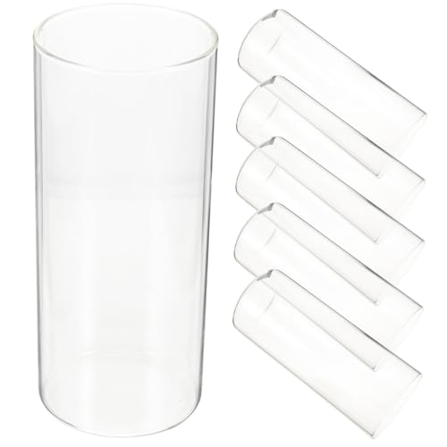 PEPLAYTAL 6 Stück Teiliges Glas Zylinder Vasen Transparent Multifunktionale Kerzenhalter für Stabkerzen und Blumen Tischdeko Badezimmer Wohnzimmer von PEPLAYTAL