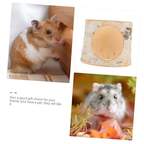 PEPLAYTAL Birkenholz Hamster Tunnel Haustiertunnel Versteck für Kleine Nager Wie Hamster Chinchilla Zwergmäuse Atmungsaktiv Sicher und Komfortabel Dekoratives Haustierzubehör von PEPLAYTAL