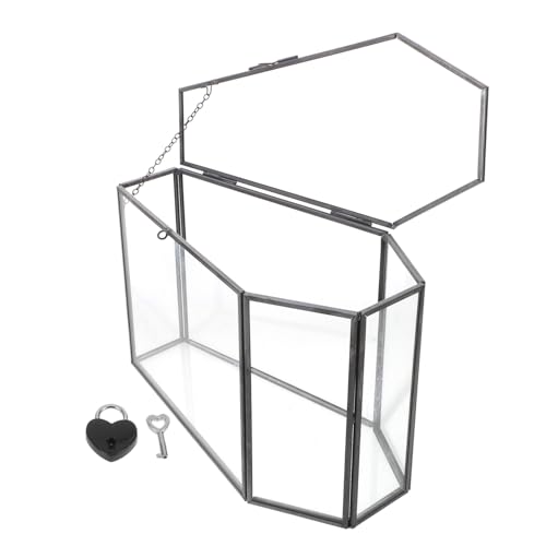 PEPLAYTAL Handgefertigte Glas-displaybox Sargform Schwarze Gothic Schmuckbox Halloween Dekor Vielseitiger Organizer für Ringe Ohrringe Sammlerstücke und Tischdekoration von PEPLAYTAL