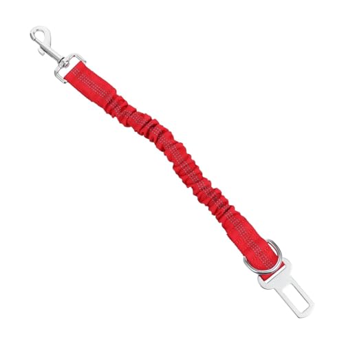 PEPLAYTAL Hunde-trainingsleine Elastische Reflektierende Haustierleine Für Nächtliche Robust Und Langlebig Für Kleine Und Mittelgroße Hunde Für Outdoor-aktivitäten PEPLAYTAL Hunde-trainingsleine Elastische Reflektierende Haustierleine Für Nächtliche Robust Und Langlebig Für Kleine Und Mittelgroße Hunde Für Outdoor-aktivitäten von PEPLAYTAL