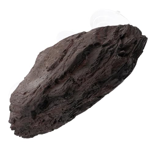 PEPLAYTAL Resin Schildkrötenplattform Aquarium Dekoration mit Natürlicher Steinnachbildung rutschfeste Sonnenplatz Rampe für Wasserschildkröten Frösche und Reptilien Robustes Terrarium PEPLAYTAL Resin Schildkrötenplattform Aquarium Dekoration mit Natürlicher Steinnachbildung rutschfeste Sonnenplatz Rampe für Wasserschildkröten Frösche und Reptilien Robustes Terrarium von PEPLAYTAL