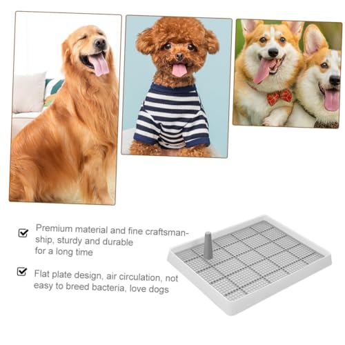 PEPLAYTAL Thickened Haushund Toilettentrainings Tablett mit Hohem Spritzgeschütztes Kunststoff Tablett für Welpen und Kleine Hunde Praktische Hundetoilette Weiß Nordischer Stil von PEPLAYTAL
