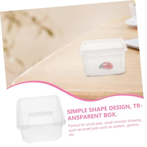 PEPLAYTAL Transparente Reptilien Futterbox mit Belüftung Insekten Gehege für Spinnen und Kleine Haustiere Stabiler Inkubator zur Aufzucht und Haltung von Reptilien und Kleintieren von PEPLAYTAL