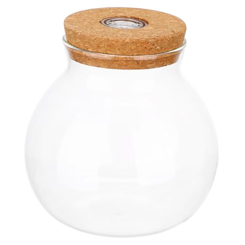 PEPLAYTAL Transparentes LED Glasfläschchen für DIY Mikrolandschaften Ökologisches Borosilikatglas Multifunktional als Aquarium Dekorative Vase mit Weißem LED Licht Kratzfest Langlebig von PEPLAYTAL