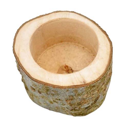 PEPLAYTAL Verschleißfester Holz Futternapf für Hamster und Meerschweinchen Langlebige Futterschale Leicht zu Reinigen Glatte Oberfläche für Kleintiere für Haustierliebhaber PEPLAYTAL Verschleißfester Holz Futternapf für Hamster und Meerschweinchen Langlebige Futterschale Leicht zu Reinigen Glatte Oberfläche für Kleintiere für Haustierliebhaber von PEPLAYTAL