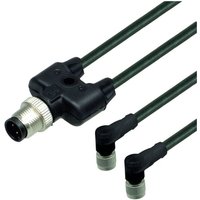 Gebraucht] Pepperl+fuchs 299241 Sensor /Aktor Verteiler Und Adapter 0.6 m Industriestecker von PEPPERL+FUCHS