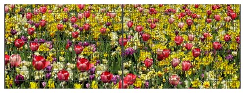 Perfect Zaunsichtschutz Panorama XL - Motiv Blumenwiese - Sichtschutz für den Garten - 5,00 x 1,80 x 0,19 m - 2 Zaunfelder - 18 Streifen von PERFECT EQUIPMENT FOR YOUR HOME