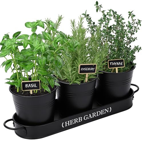 PERFNIQUE Kräutergarten, Kräutergarten, Pflanzgefäß für drinnen und draußen, Bauernhaus-Pflanztöpfe, Fensterbank, Kräutergarten mit Tablett (nur Pflanzgefäß), Fenstertöpfe von PERFNIQUE