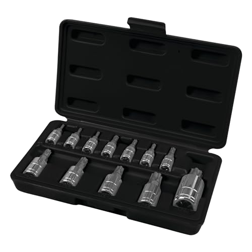 Performance Tool W38804 Star Plus Bit-Steckschlüssel-Set, 12-teilig Performance Tool W38804 Star Plus Bit-Steckschlüssel-Set, 12-teilig von PERFORMANCE TOOL