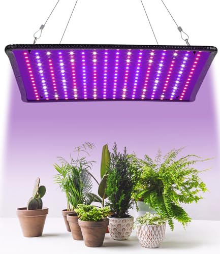 PERMUST Pflanzenlampe Led Vollspektrum,LED Grow Lampe Vollspektrum mit UV IR Pflanzenlampe mit 1.25 Meter Kabel für Zimmerpflanzen und Gewächshaus Gemüse und Blumenanbau für Growzelt 60x60cm PERMUST Pflanzenlampe Led Vollspektrum,LED Grow Lampe Vollspektrum mit UV IR Pflanzenlampe mit 1.25 Meter Kabel für Zimmerpflanzen und Gewächshaus Gemüse und Blumenanbau für Growzelt 60x60cm von PERMUST