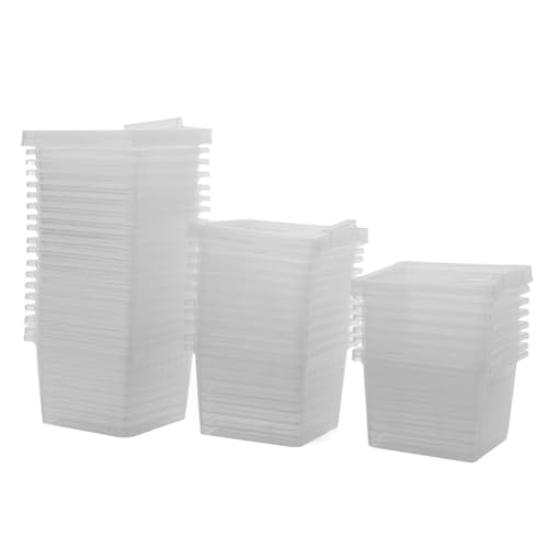 PERSELOSO 100 Stück Boxen Futterbox für Haustiere Reptilienzuchtbox Insektenkäfig Terrarienfutterboxen-Set Insektenzuchtbox Inkubator schleichtiere Zuchtboxen transparenter Käfig pp von PERSELOSO