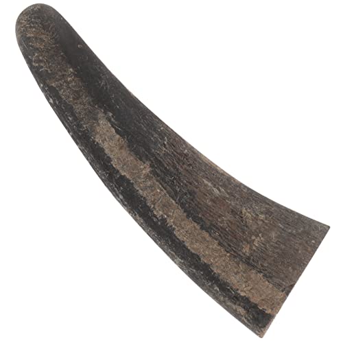 PERSELOSO Bullhorn Schnitzmaterial Für DIY-kunsthandwerk Natürliches Horn Zubehör Zum Schnitzen Und Gestalten Von Ornamenten PERSELOSO Bullhorn Schnitzmaterial Für DIY-kunsthandwerk Natürliches Horn Zubehör Zum Schnitzen Und Gestalten Von Ornamenten von PERSELOSO