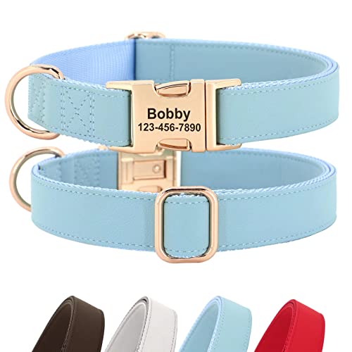 PET Artist personalisierte weiche Nylon Leder Hundehalsband stilvolle Elegante benutzerdefinierte Goldschnalle für kleine mittlere Hunde Blau L von PET ARTIST