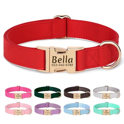 PET Artist personalisierte weiche Plain Nylon Leder Hundehalsband stilvolle Elegante benutzerdefinierte Goldschnalle für kleine mittlere Hunde Rot M PET Artist personalisierte weiche Plain Nylon Leder Hundehalsband stilvolle Elegante benutzerdefinierte Goldschnalle für kleine mittlere Hunde Rot M von PET ARTIST
