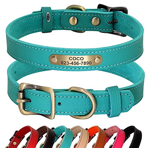 PET ARTIST Personalisiertes Hundehalsband aus echtem Leder, leicht und weich, 7 schöne Farben, langlebiges Hundehalsband für Welpen und kleine Hunde, Grün, Größe S PET ARTIST Personalisiertes Hundehalsband aus echtem Leder, leicht und weich, 7 schöne Farben, langlebiges Hundehalsband für Welpen und kleine Hunde, Grün, Größe S von PET ARTIST