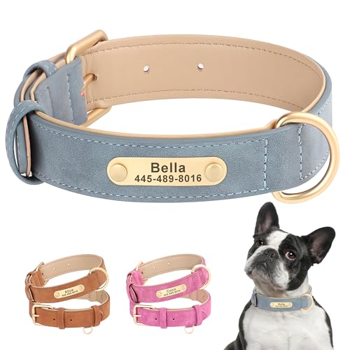 PET ARTIST Personalized Leather Dog Collar with Name Plate，Soft Padded Custom Dog Collars for Small Medium Large Dog，Blue,L von PET ARTIST