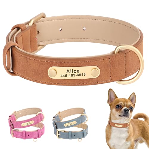PET ARTIST Personalized Leather Dog Collar with Name Plate,Soft Padded Custom Dog Collars with Tag-Ring for Small Medium Large Dog,Brown,S von PET ARTIST