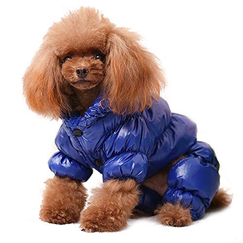 Pet Artist klein Hund Fell für Welpen, Winter Warm Dick Gepolsterte Chihuahua Kleidung Outfits, Passform für Yorkie Pudel Mops Französische Bulldogge, Blau, Chest:11.5” von PET ARTIST