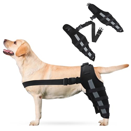 PETCUTE 2 Stück Kniebandage Hund mit Reflexstreifen – Verstellbare Beinstütze bei ACL- & Bandverletzungen, Starke Stabilisierung & Hinterbein-Schutz für schnelle Genesung-M(Schwarz) von PETCUTE