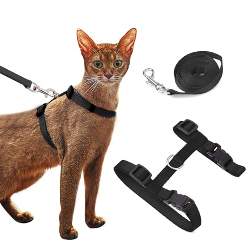 PETCUTE 2 Stücke katzengeschirr mit leine ausbruchsicher Katzengeschirr und leine einstellbarer von PETCUTE
