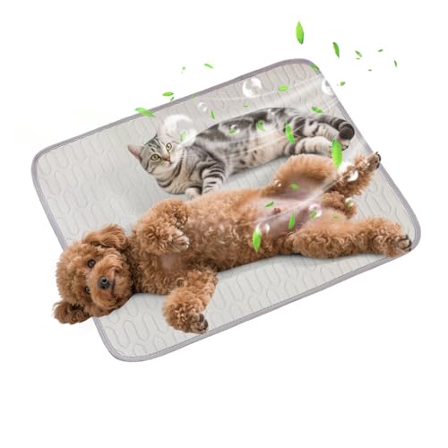PETCUTE Gel-Freie Kühlmatte für Hunde,Selbstkühlende Kühldecke Hund,Kühlmatte Katze,Ungiftige Kühlpads für Haustiere,Waschbare Kühlpads für Haustiere,rutschfest,Perfekt für Auto,Reise und Zuhause XXL von PETCUTE