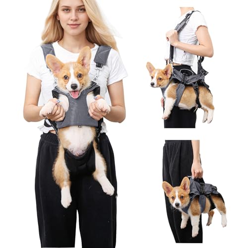 PETCUTE Haustier Rucksack Hundetragetasche,Verstellbare Brust Hunderucksack für Klein Hunde Katzen,Tragbare und Atmungsaktiv Haustier Tragetasche mit reflektierendem Band,Bis zu 15 kg,für Reisen von PETCUTE