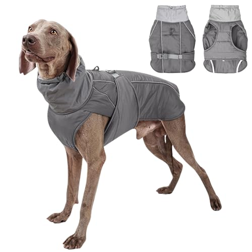 PETCUTE Hund Wintermantel,Wasserdichter Hundemantel Winter Warme Jacke,Winddichte Hundejacken mit Reflektierender Streifen und Gurtloch,Warmer Mantel für Hund für Camping Wandern von PETCUTE