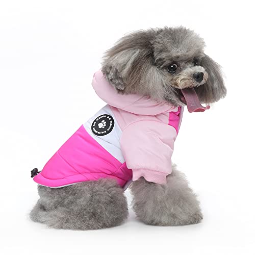 PETCUTE Hund Wintermantel Winterjacke mit Kapuze, Hundemantel mit Knopfverschluss,Verstellbar Hundejacke für Kleine Mittelere und Große Hunde,Winter Hundejacke Hundeweste Kleidung für den Winter von PETCUTE