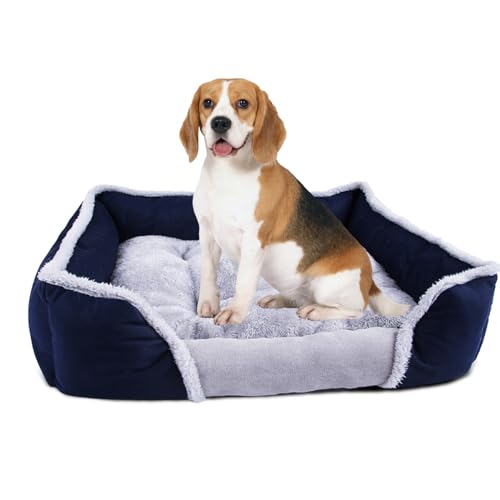 PETCUTE Hundebett Grosse Hunde hundekorbchen mittel Hunde hundekissen hundebett waschbar hundebetten fur mittlere Hunde hundesofa von PETCUTE