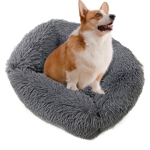 PETCUTE Hundebett Katzenbett,Waschbar Haustierbett für Katzen und Hunde,Winter Katzenbett Rundes Katzen Kissen,Bequeme Rundes Plüsch Weich Hundebett mit rutschfeste Unterseite von PETCUTE