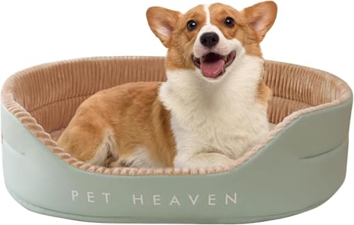 PETCUTE Orthopädisches Hundebett Mittelgroße Hunde, Waschbar Hundebett Kissen,Katzenbetten Hundekorb mit rutschfeste Unterseite,Beruhigendes Haustierbett von PETCUTE