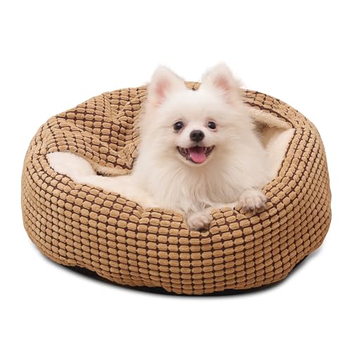 PETCUTE Hundebett kleine Hunde,Katzenbett, Hundebett Grosse Hunde,Rundes Plüsch Hundekissen,Waschbar Haustierbett für Katzen Hunde,Hundebetten mit rutschfeste Unterseite,Aufgesetzter Decke PETCUTE Hundebett kleine Hunde,Katzenbett, Hundebett Grosse Hunde,Rundes Plüsch Hundekissen,Waschbar Haustierbett für Katzen Hunde,Hundebetten mit rutschfeste Unterseite,Aufgesetzter Decke von PETCUTE
