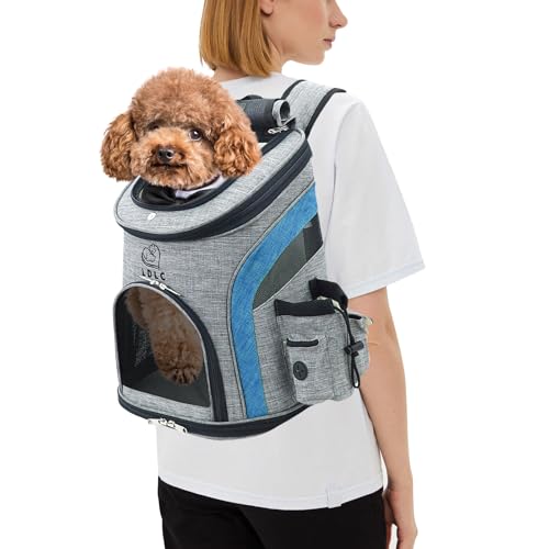 PETCUTE Hunderucksack Kleine Hunde,Atmungsaktiv Hundetragetasche mit Internem Sicherheitsgurt,Verstellbar Haustier Rucksack,Seitentaschen,für Katzen Wandern Outdoor Radfahren von PETCUTE
