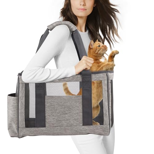 PETCUTE Hundetasche,Airline Genehmigt Transporttasche für Hunde, Transporttasche für Haustiere mit Schultergurt,Atmungsaktiv Tragetasche Katzen Haustiertasche für Kleine Hunde PETCUTE Hundetasche,Airline Genehmigt Transporttasche für Hunde, Transporttasche für Haustiere mit Schultergurt,Atmungsaktiv Tragetasche Katzen Haustiertasche für Kleine Hunde von PETCUTE