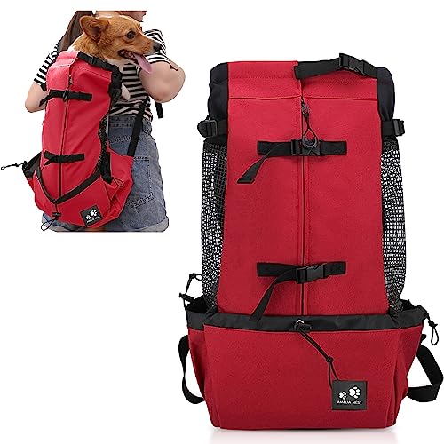 PETCUTE Hundetasche Hundetransporttasche Tragetasche füR Hunde Katzen Wanderrucksack Seite Atmungsaktives Netz Rucksack füR Mittel Hunde Katzen bis zu 10 kg von PETCUTE