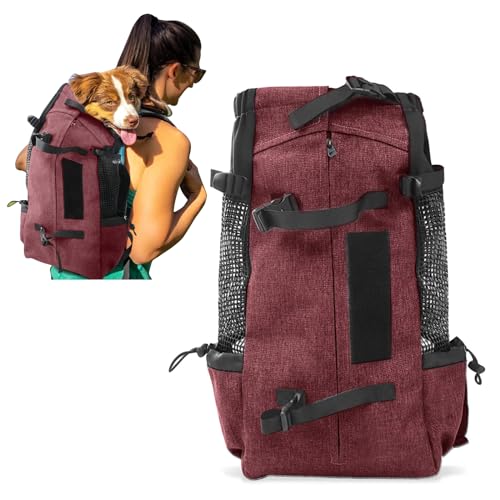 PETCUTE Hundetasche Hundetransporttasche Tragetasche für Hunde Katzen Wanderrucksack Seite Atmungsaktives Netz Rucksack für Kleine Hunde Katzen bis zu 3 kg Rot von PETCUTE