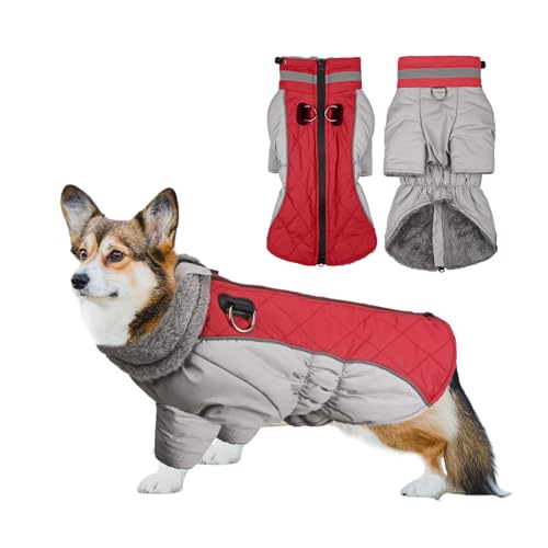 PETCUTE Hundewintermantel,Wasserdicht Haustier Jacke mit Reißverschluss, Winddicht Reflektierend Hundemantel mit Leine Loch,Outdoor Welpe Kaltes Wetter Wintermantel für Kleine Mittle Grosse Hunde von PETCUTE